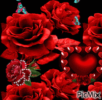 Mis Rosas - GIF animado grátis