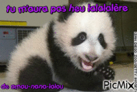 panda - Δωρεάν κινούμενο GIF