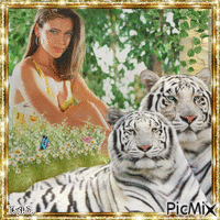 La beauté du tigre - GIF animé gratuit