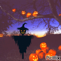 Scarecrow GIF animata