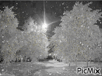 Winter Wonder - GIF animé gratuit
