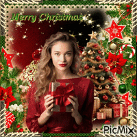 🎁 Christmas gift for You🎁 geanimeerde GIF