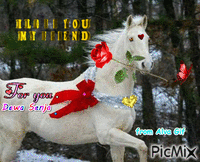 White Horse GIF animata