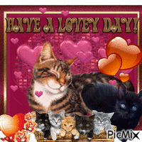 cat valentine animovaný GIF