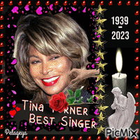 Tina TURNER...... - GIF animé gratuit