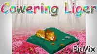 Cowering Liger - 免费动画 GIF