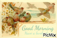 Good Morning, birds, vintage анимированный гифка