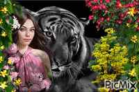 Meu  Tigre - Ingyenes animált GIF