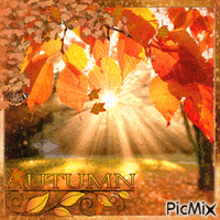 Autumn анимированный гифка
