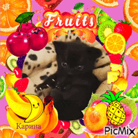 Chat noir et fruits