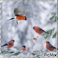 Birds in winter - png ฟรี