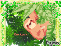 Sloth say Hello - Ücretsiz animasyonlu GIF