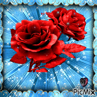 růže - Gratis geanimeerde GIF