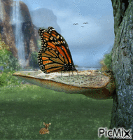 fluture - Bezmaksas animēts GIF