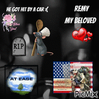Remy Died :( geanimeerde GIF