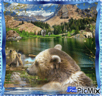 Les ours ♥♥♥ Animiertes GIF