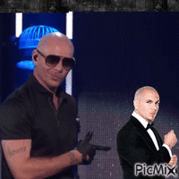 Pitbull - Бесплатный анимированный гифка