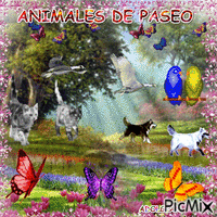 ANIMALES DE PASEO GIF animado
