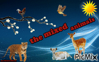 the mixed animals - Бесплатный анимированный гифка