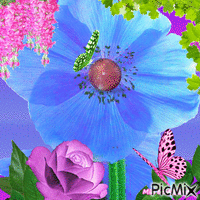 Floraison animovaný GIF