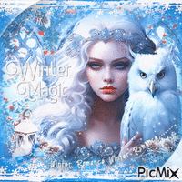 Winter magic woman owl blue - Zdarma animovaný GIF