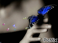 pillangók - GIF animasi gratis