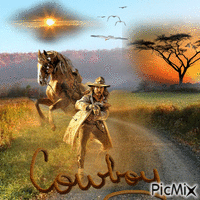 Cowboy - GIF animé gratuit