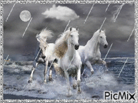 Rainy Run! - GIF animé gratuit
