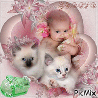 joli bébé et chatons Gif Animado