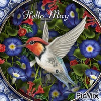 Hello May-RM-05-01-23 - ilmainen png