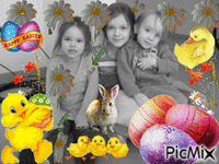 Easter fun GIF animé