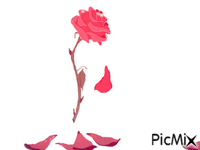 rosa - Kostenlose animierte GIFs