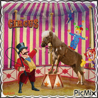 Magic Circus - GIF animé gratuit
