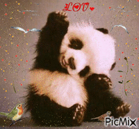 PANDA LOVE - GIF animasi gratis