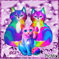 chatons perle violet κινούμενο GIF