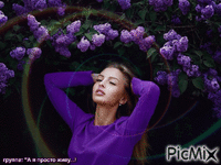 Фиолетовые сны,весна - GIF animado gratis