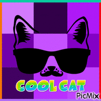 Cool Cat geanimeerde GIF