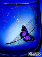 motýl animovaný GIF