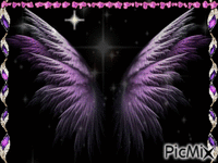 wings1 - Free animated GIF