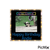 Happy Birthday Panda GIF animé
