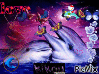love dauphin animovaný GIF