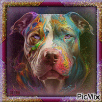 Portrait multicolore - Bezmaksas animēts GIF