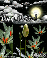 Boa Noite! ╭🍃🌸╯ - 免费动画 GIF