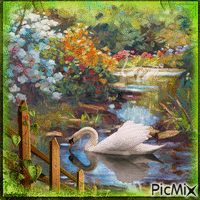 The Swan - Free animated GIF