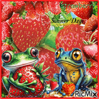 Frogs, Strawberries Summer анимированный гифка