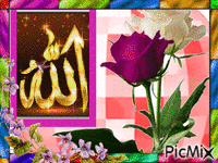 Beloved Islam - Zdarma animovaný GIF