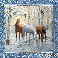 chevaux d'hiver