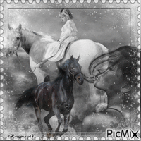 Le cheval - Zdarma animovaný GIF