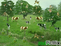 Nature - Bezmaksas animēts GIF
