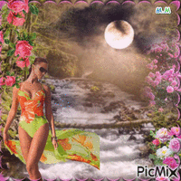 Summer picture - 免费动画 GIF